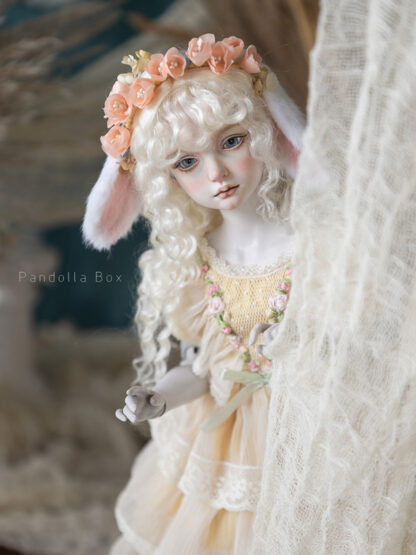 pandolla box azalea
