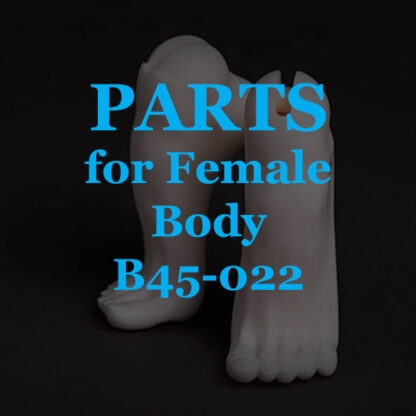 doll zone parts b45-022