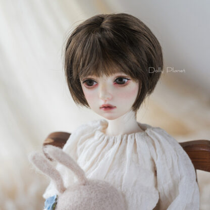 dolly planet hesty wig 112