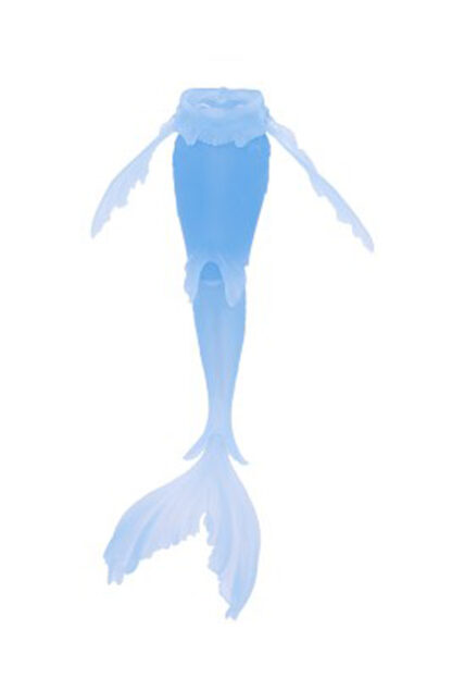 fairyline minifee kyma mermaid
