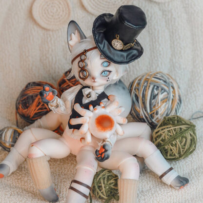 Coral Reef Spider Cat