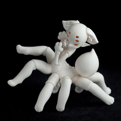Coral Reef Spider Cat