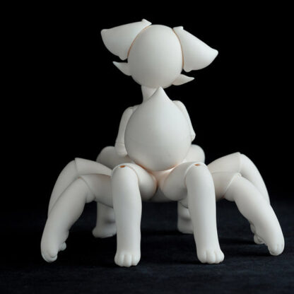 Coral Reef Spider Cat