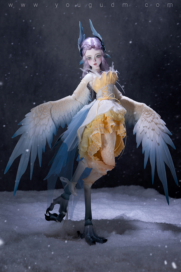 dream valley milien bird