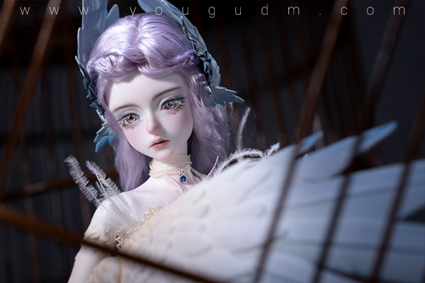 dream valley milien bird