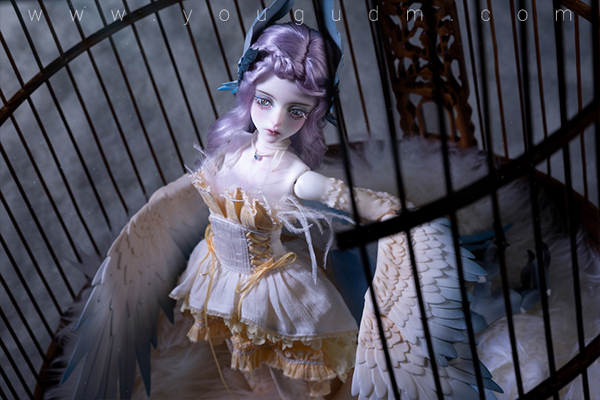 dream valley milien bird