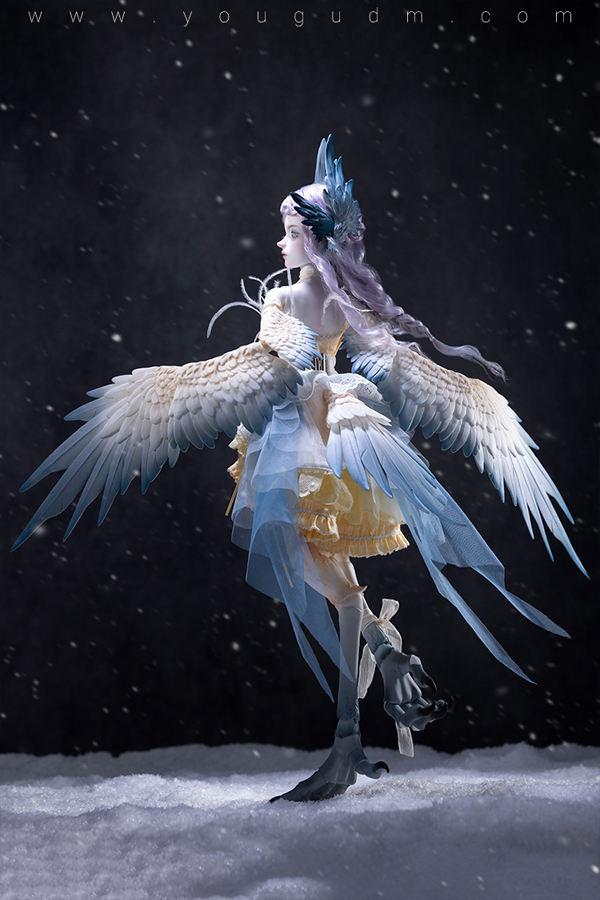 dream valley milien bird