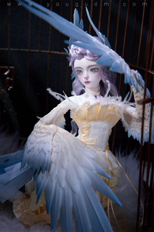 dream valley milien bird