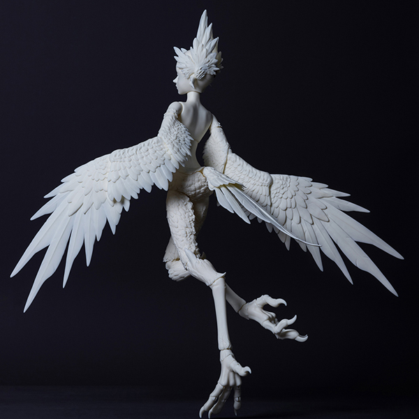 dream valley milien bird