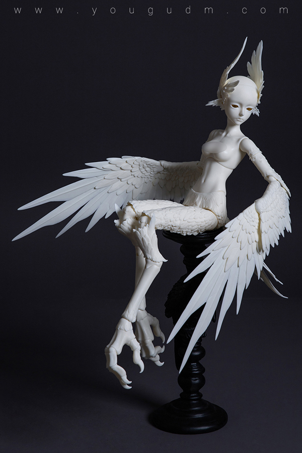 dream valley milien bird