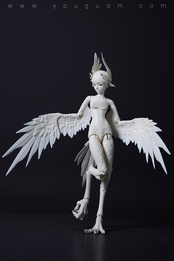 dream valley milien bird