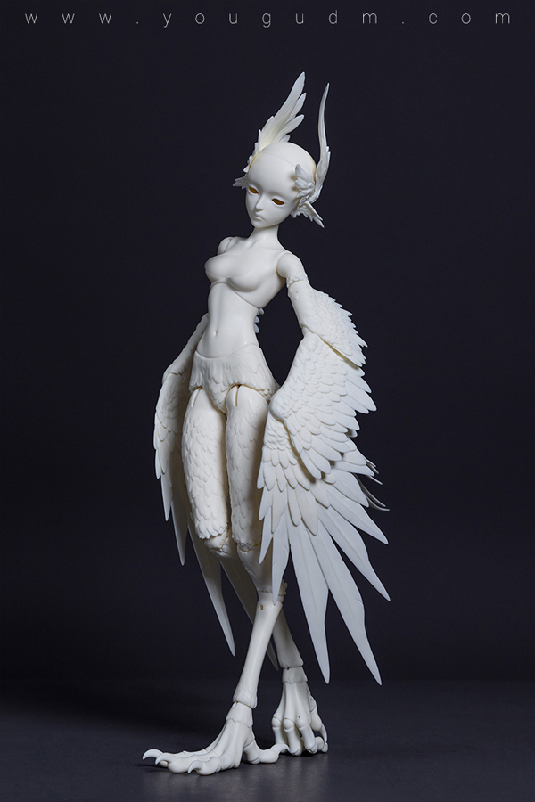 dream valley milien bird