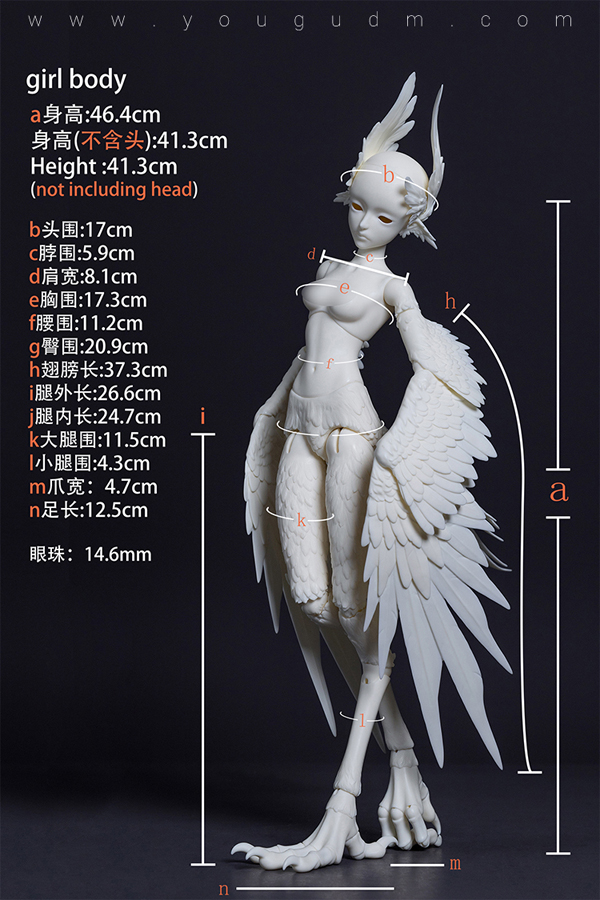 dream valley milien bird