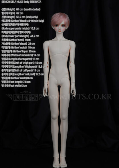 luts senior delf muse body