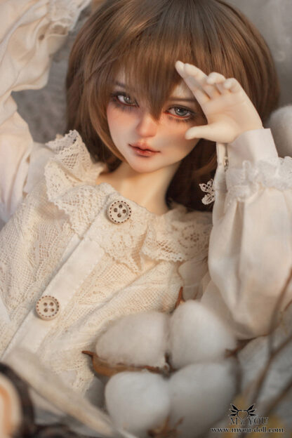 myou doll msd aron