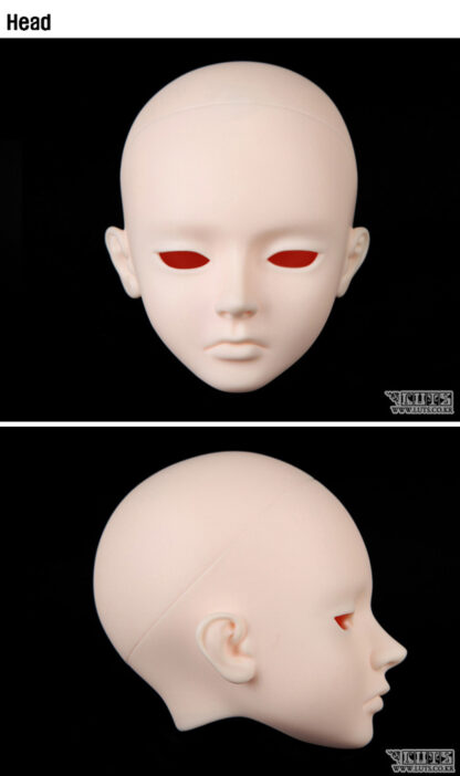 luts senior 65 gray