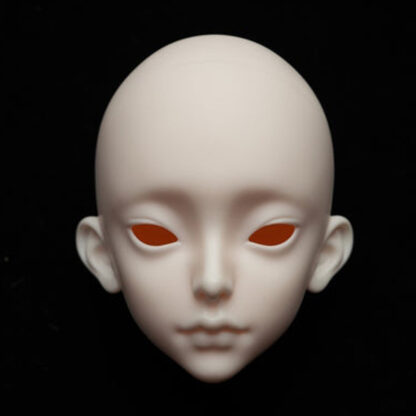 coral reef 68cm lilium candidum
