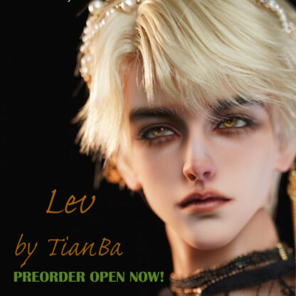 NEW TianBa 'Lev' HEAD Pre-order is OPEN!