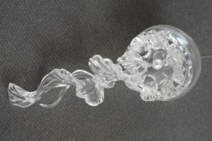 coral reef jellyfish daya