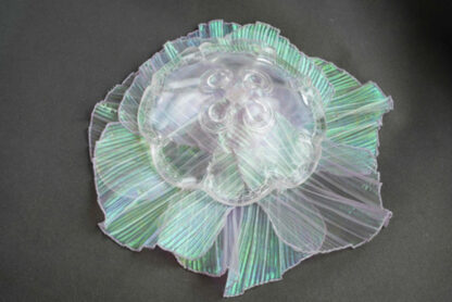 coral reef jellyfish daya