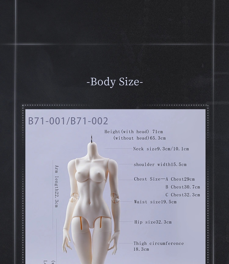 doll zone papillon