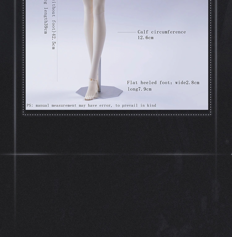 doll zone papillon