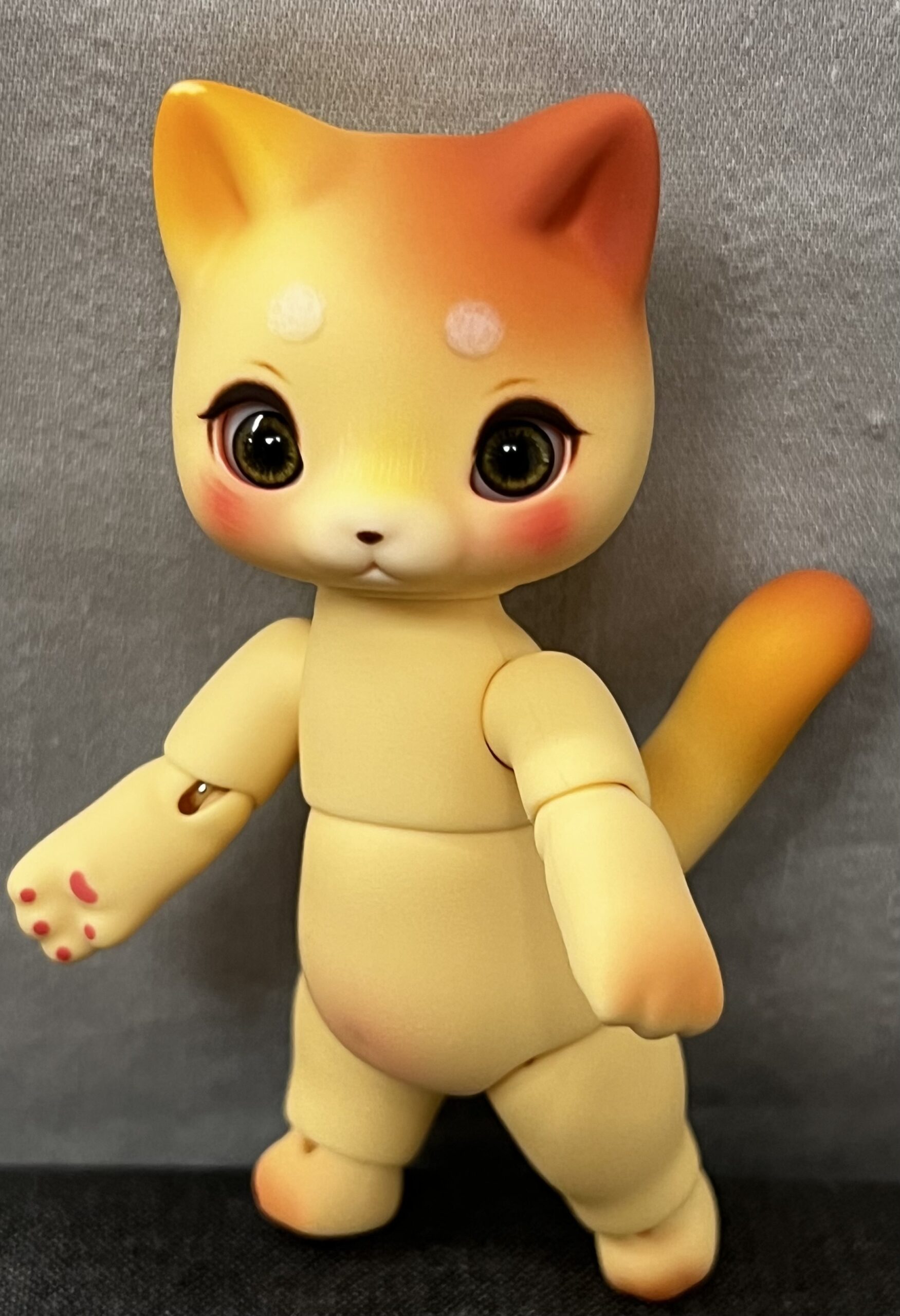 cocoriang mocha cat honey yellow