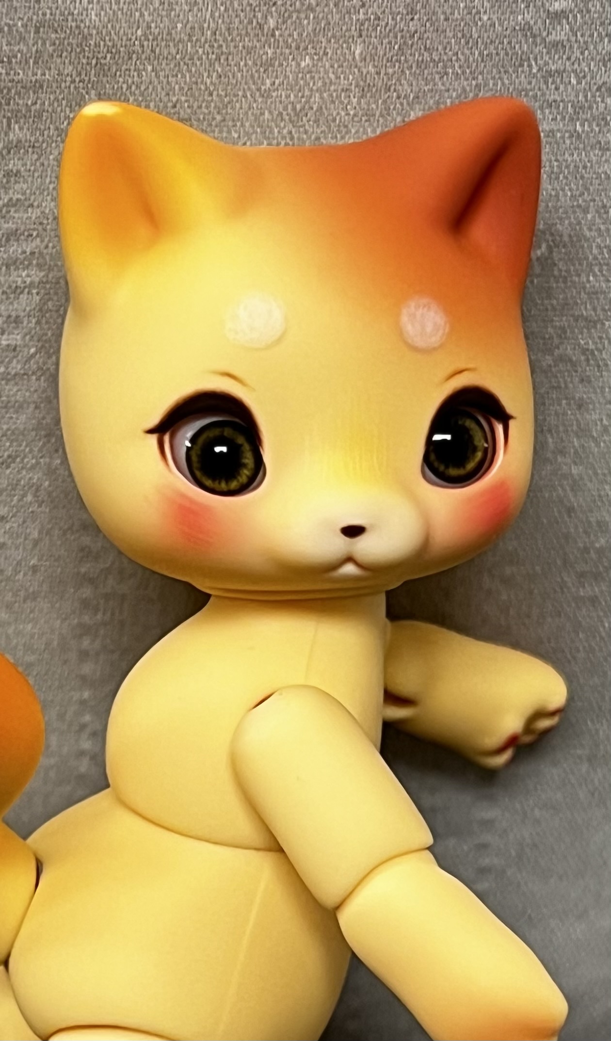 cocoriang mocha cat honey yellow
