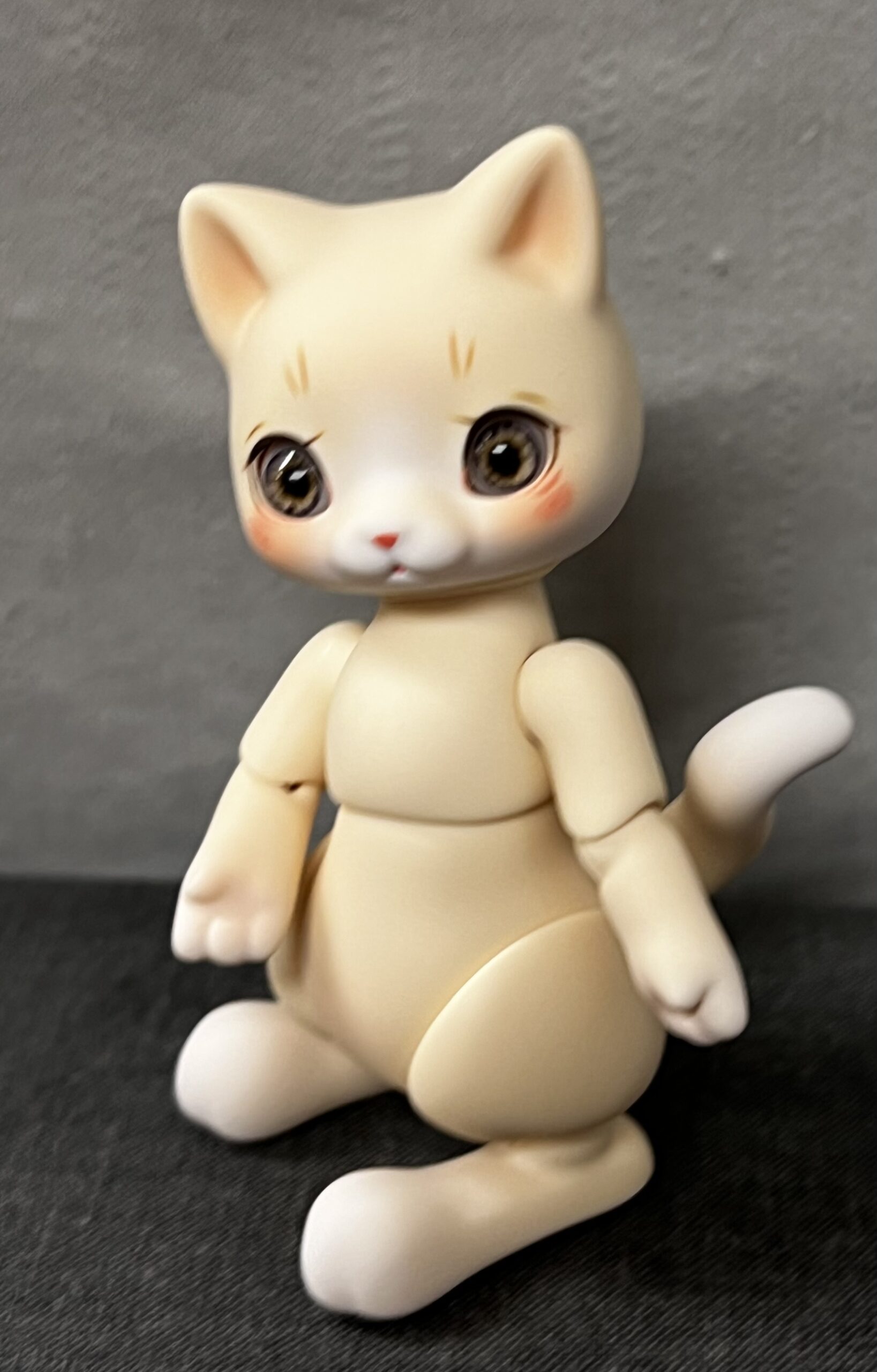 cocoriang mocha cat cream corn