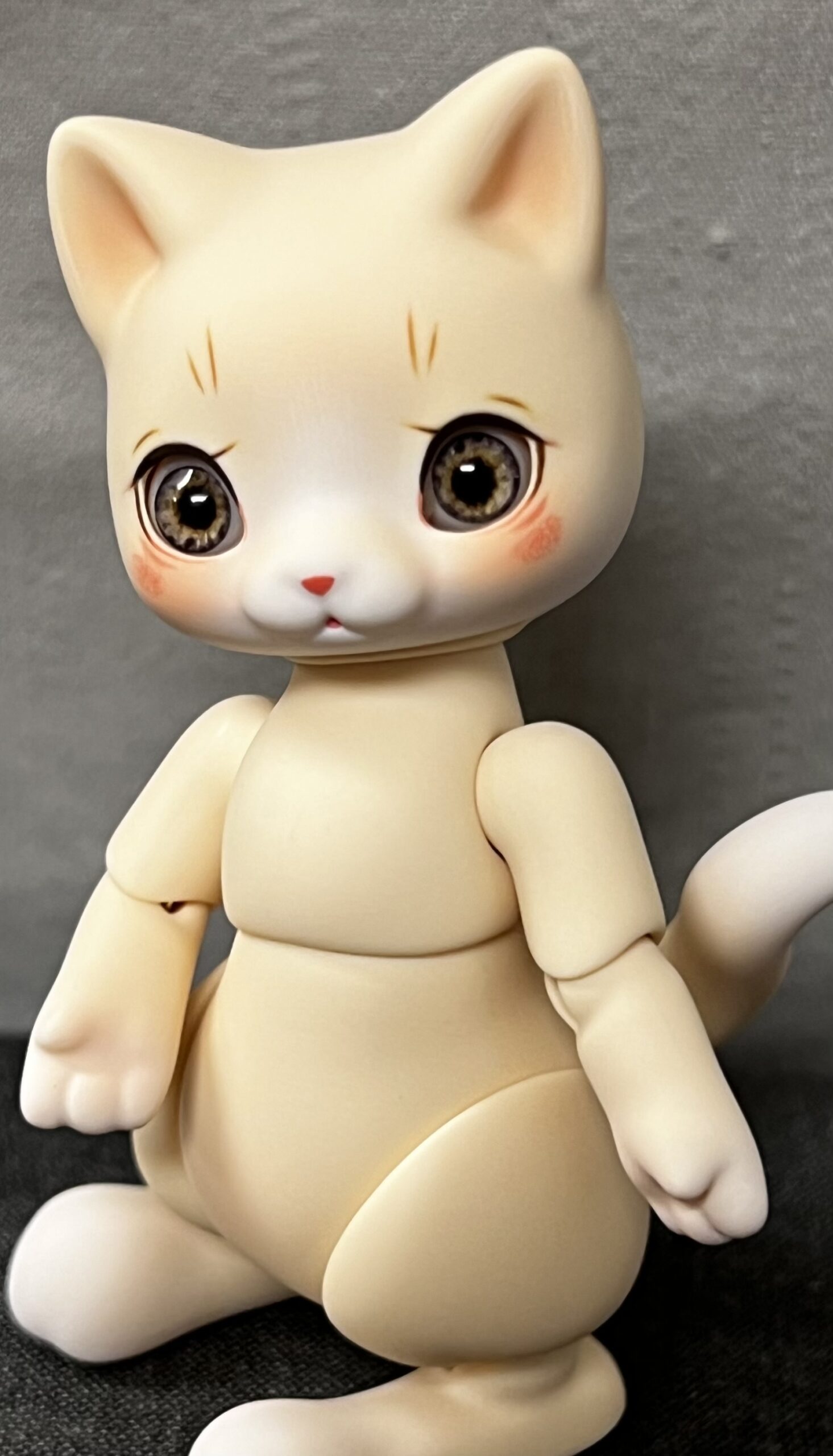 cocoriang mocha cat cream corn