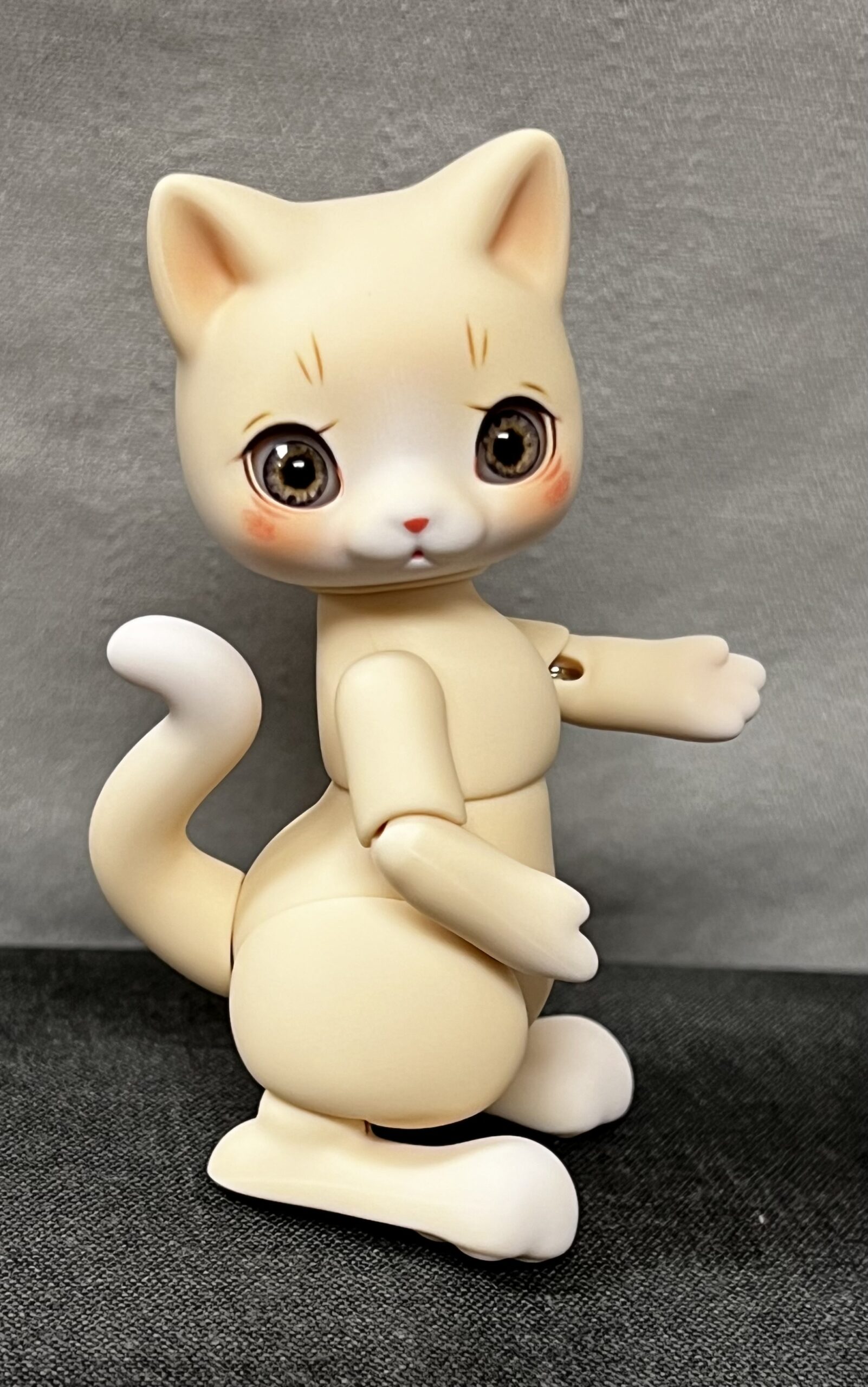 cocoriang mocha cat cream corn