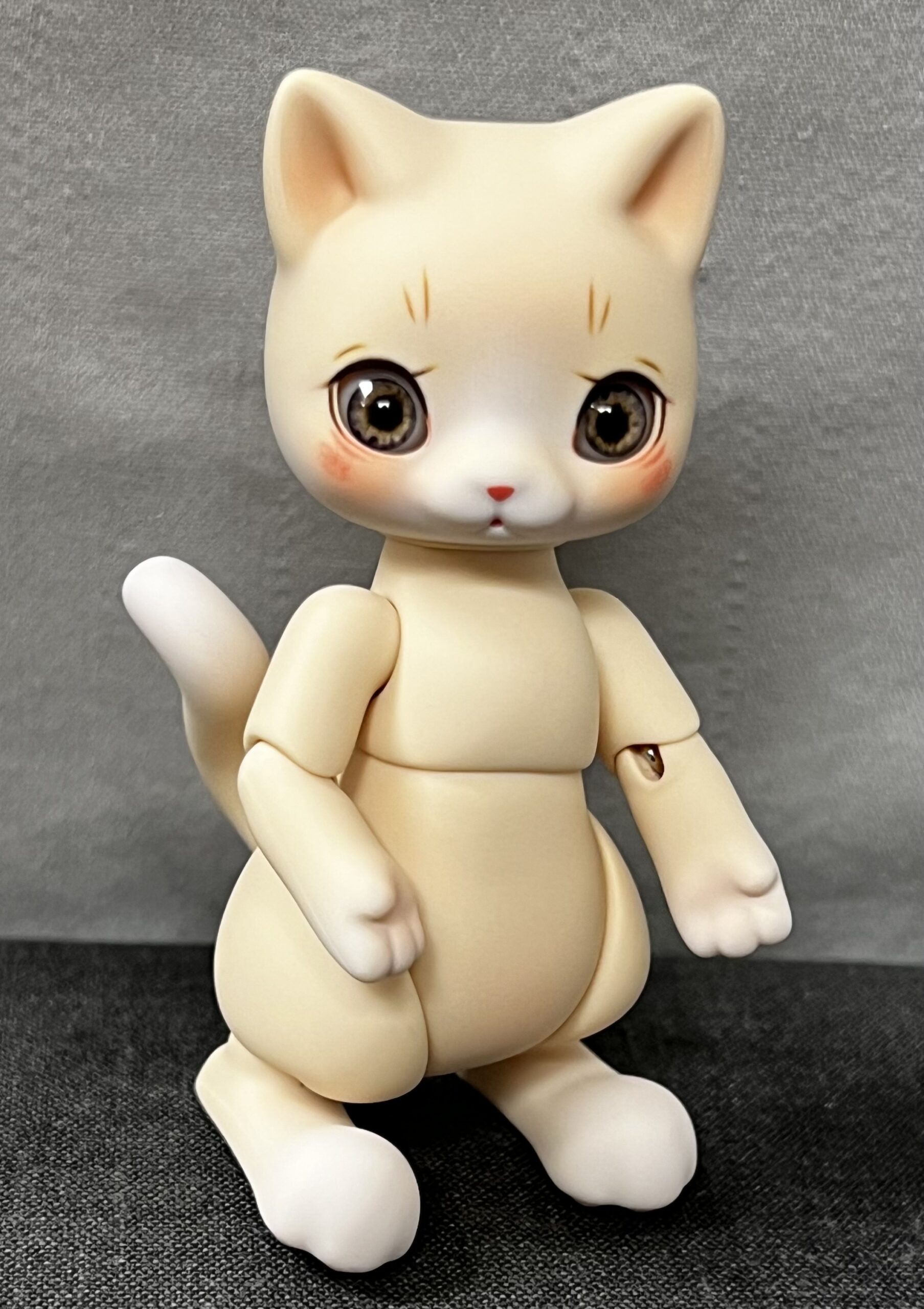 cocoriang mocha cat cream corn