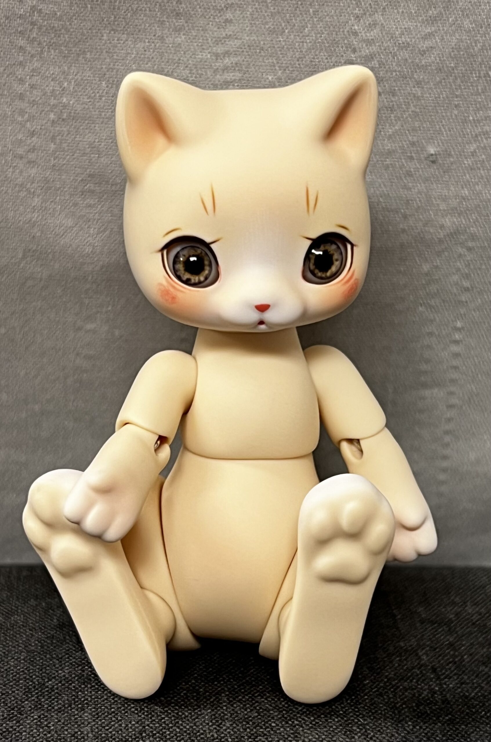 cocoriang mocha cat cream corn