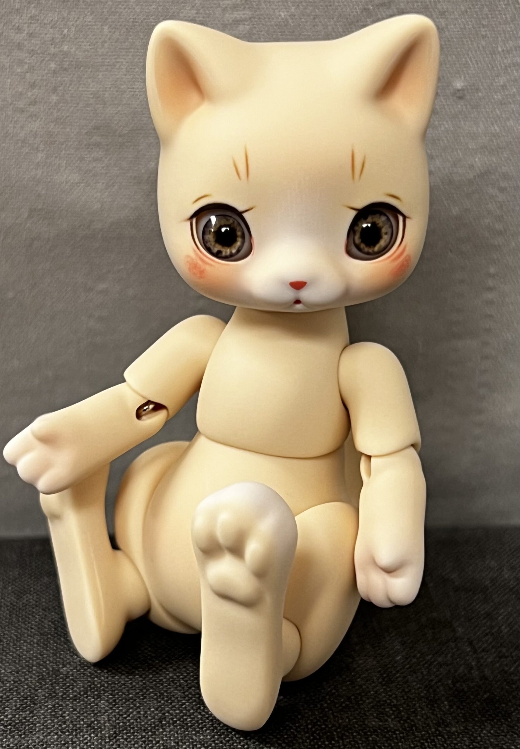 cocoriang mocha cat cream corn