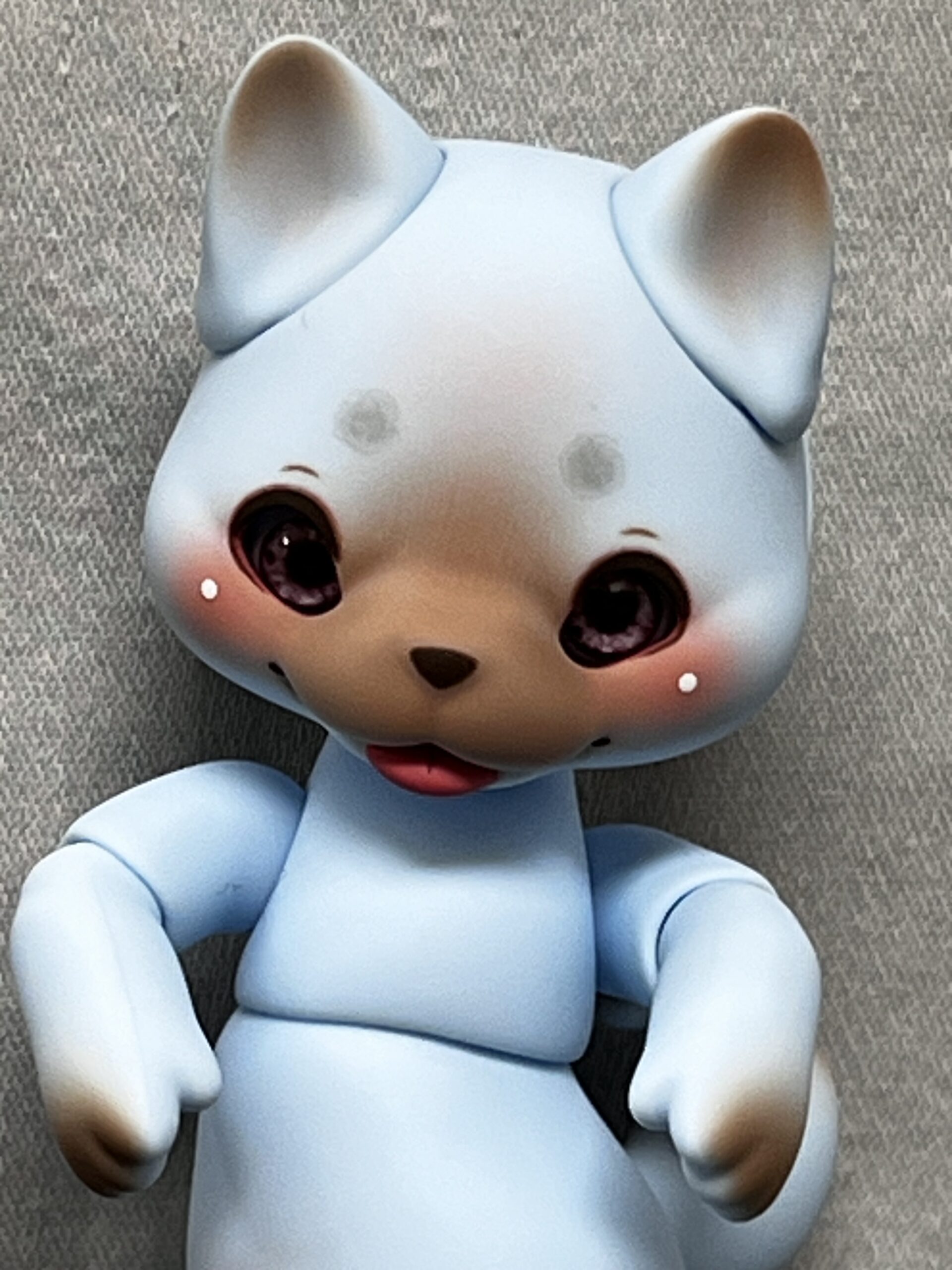cocoriang arno dog blue