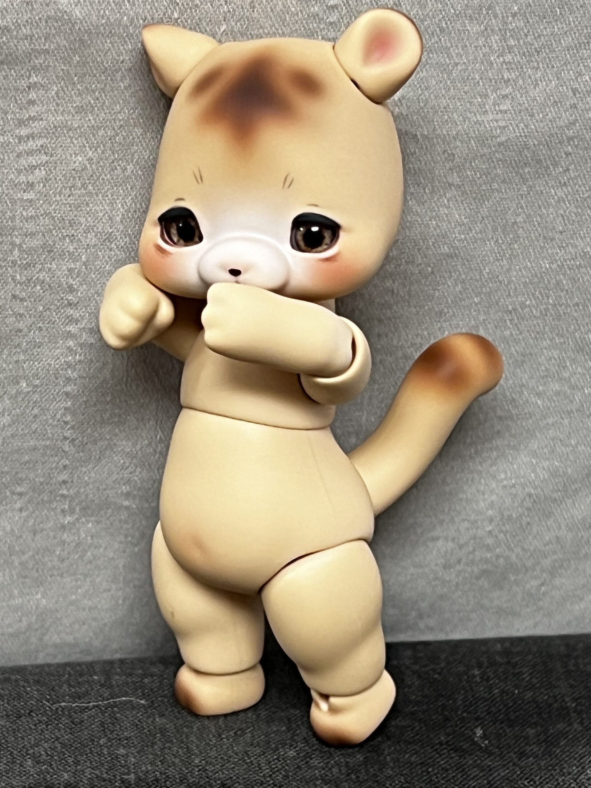 cocoriang hoi bear