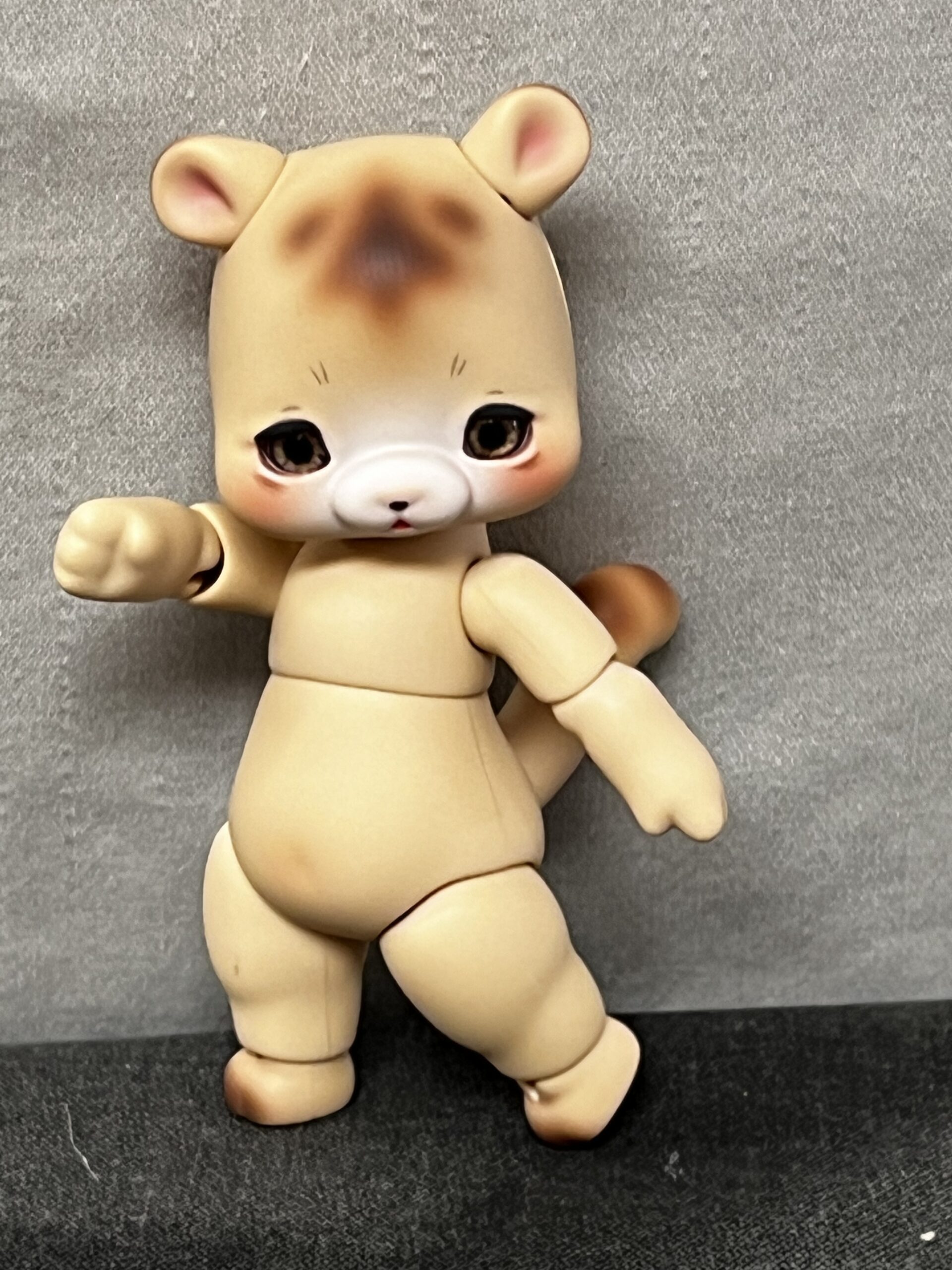 cocoriang hoi bear