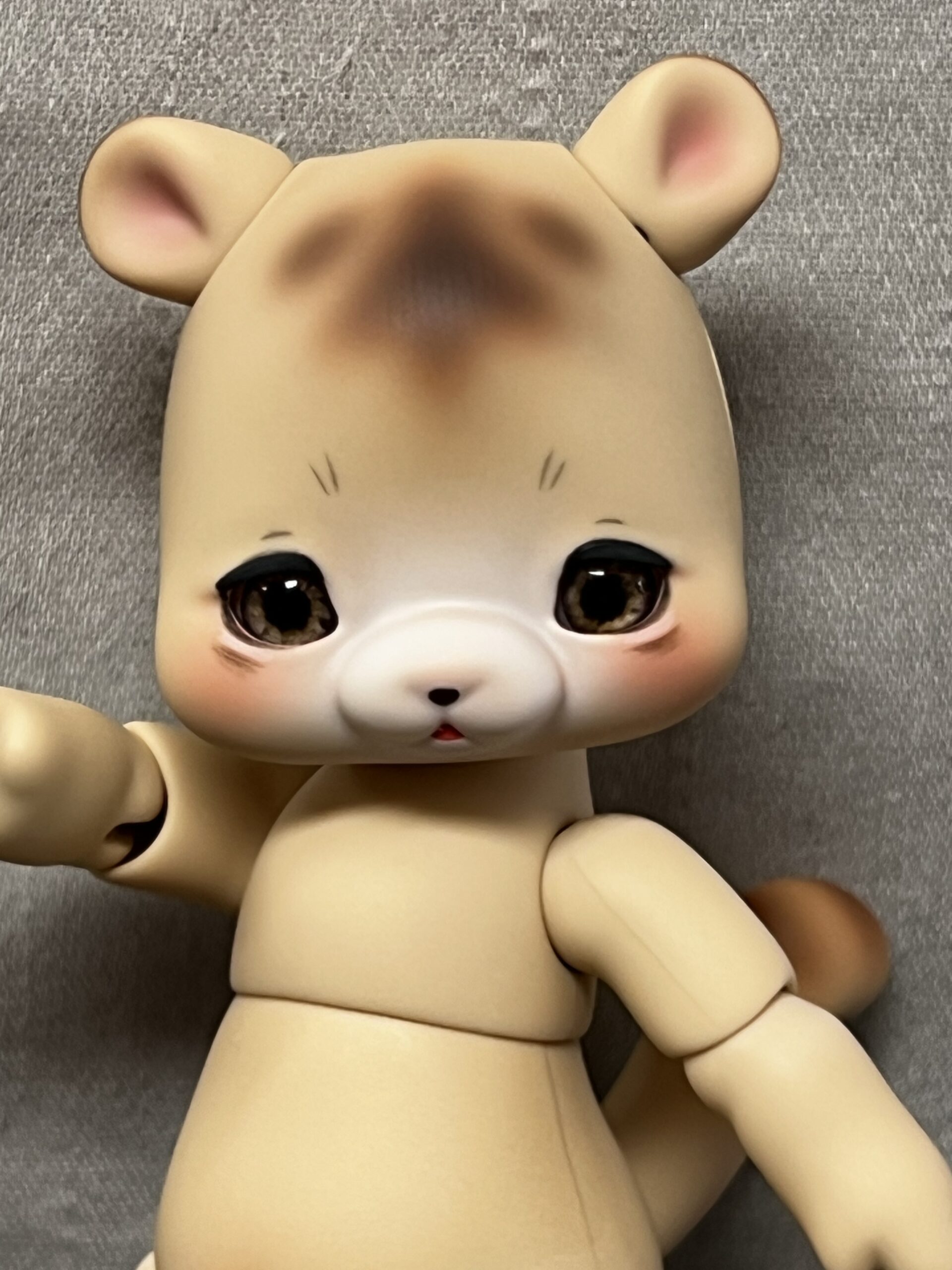 cocoriang hoi bear