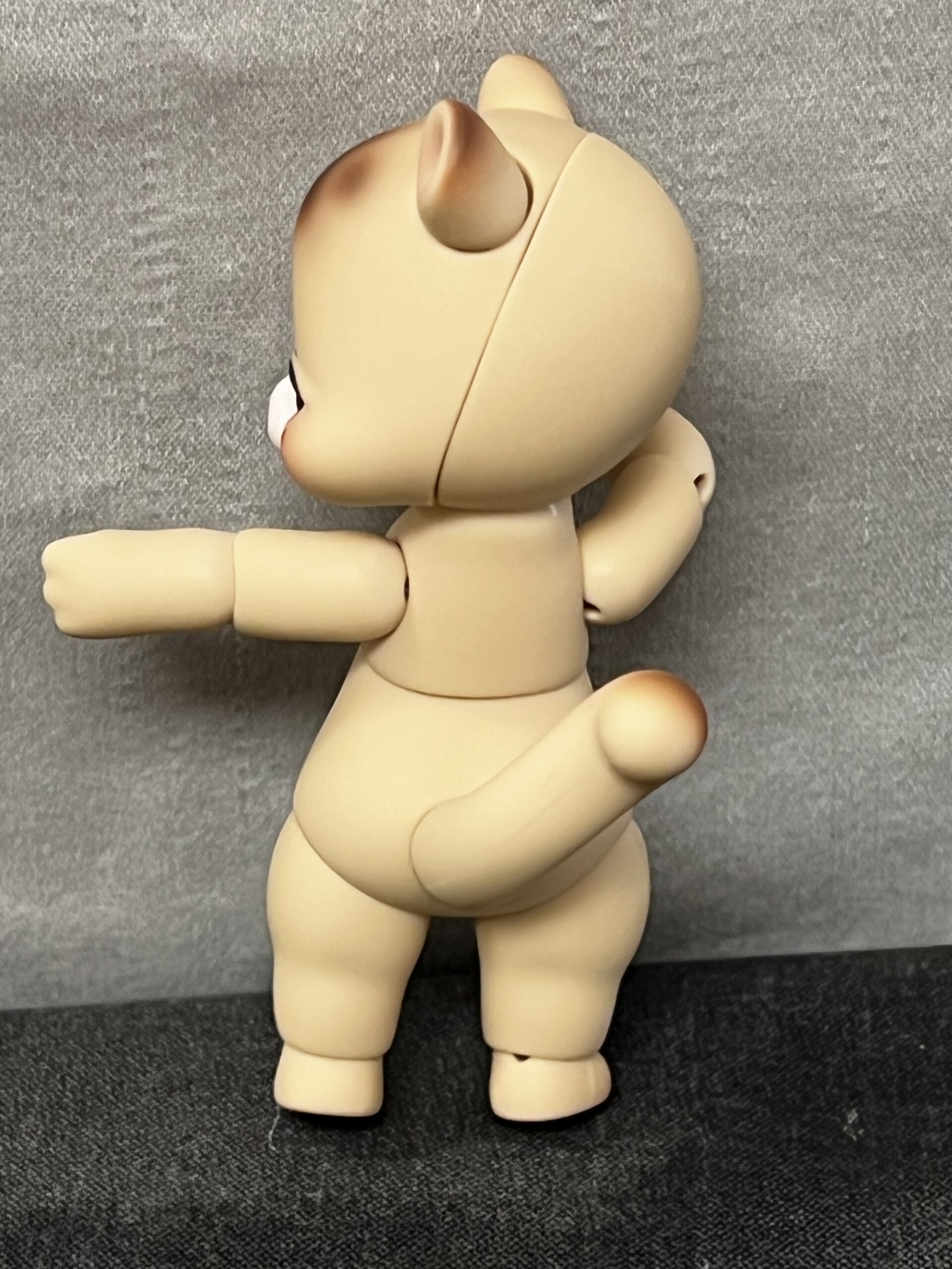 cocoriang hoi bear