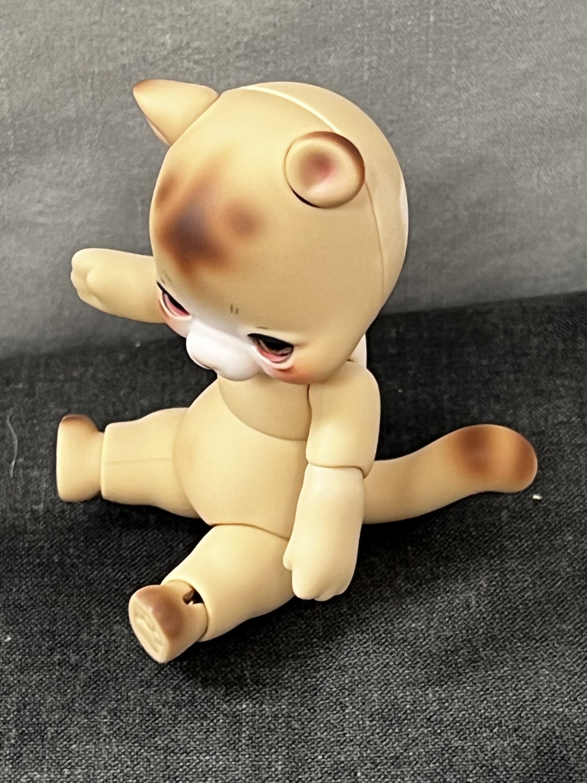 cocoriang hoi bear