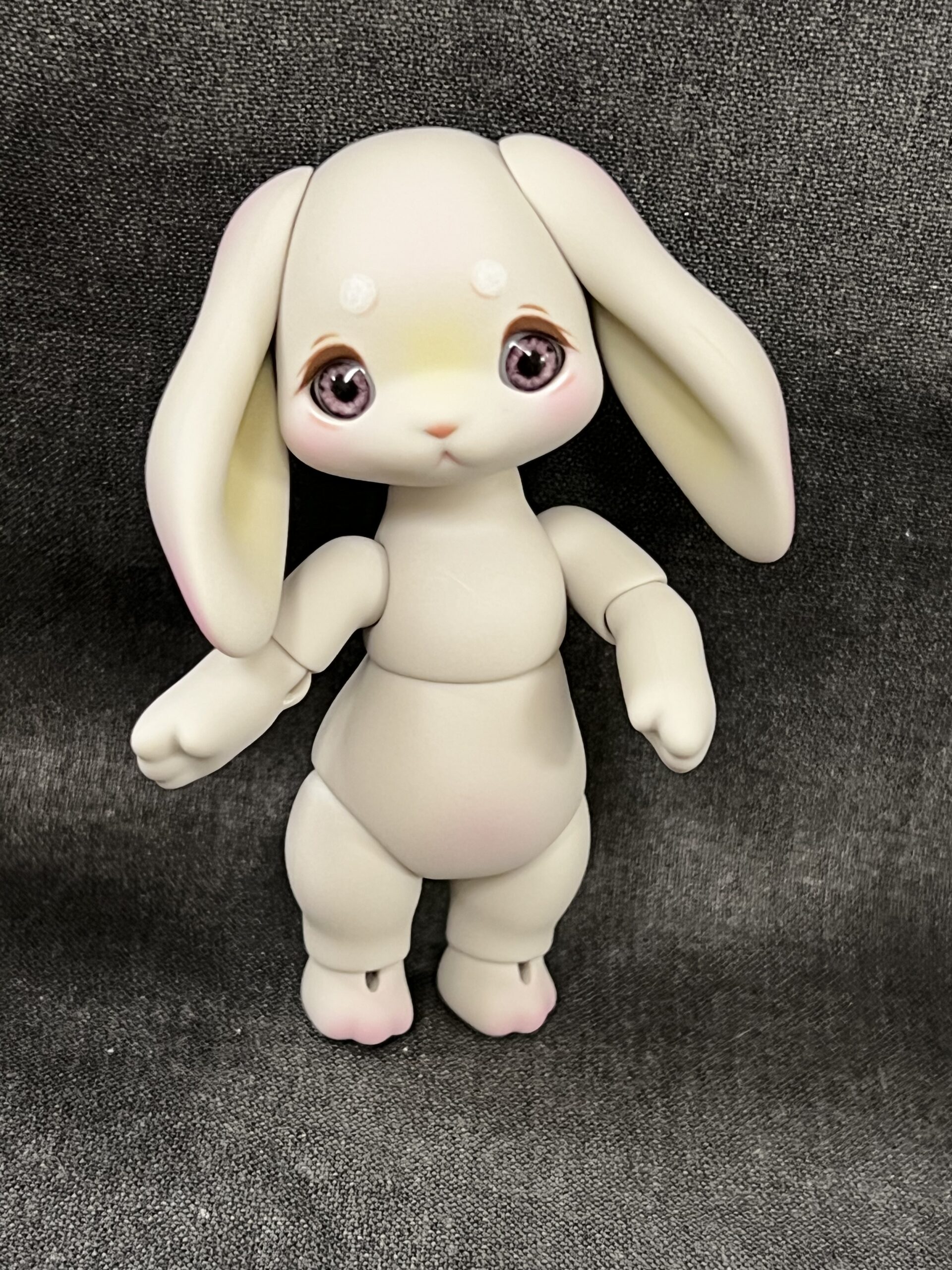 cocoriang groomy gray
