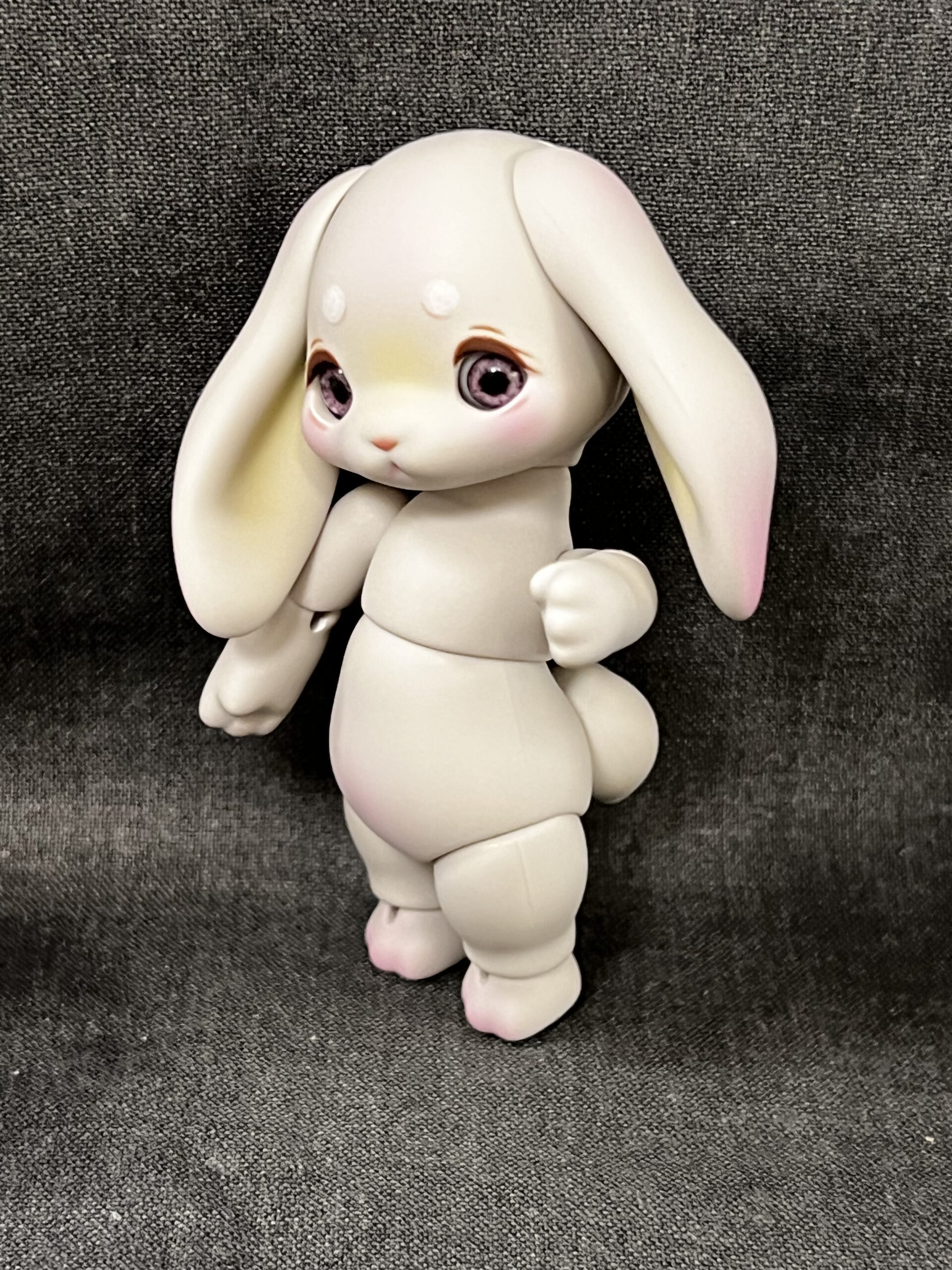 cocoriang groomy gray