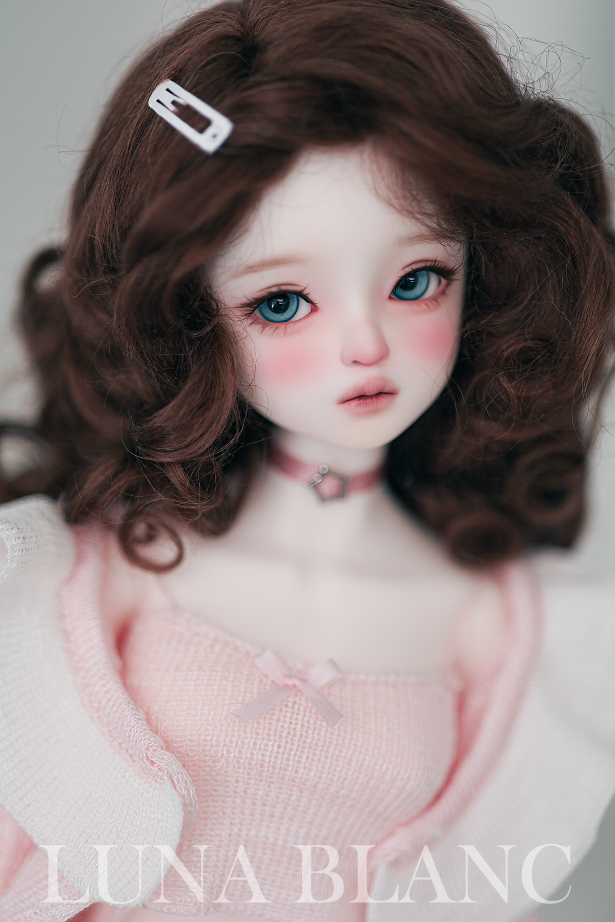 Luna blanc maylily