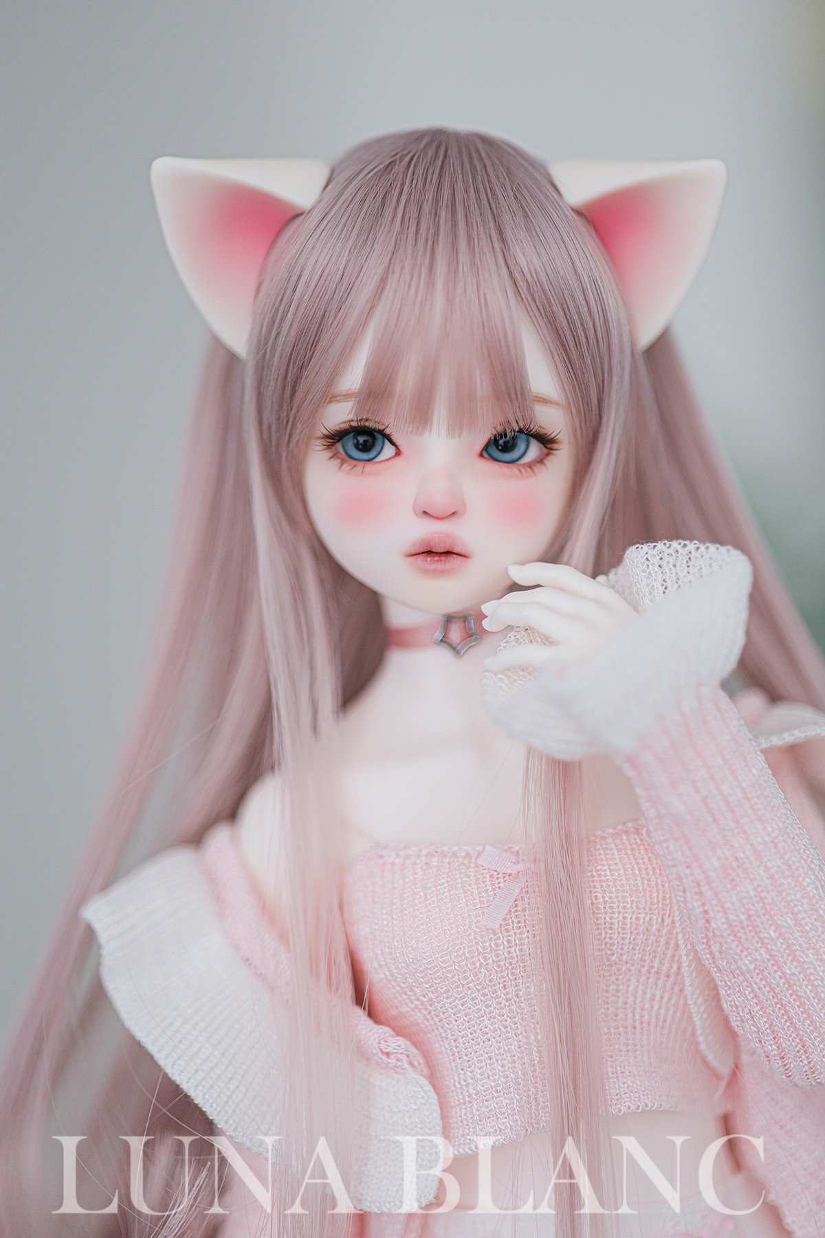 Luna blanc maylily