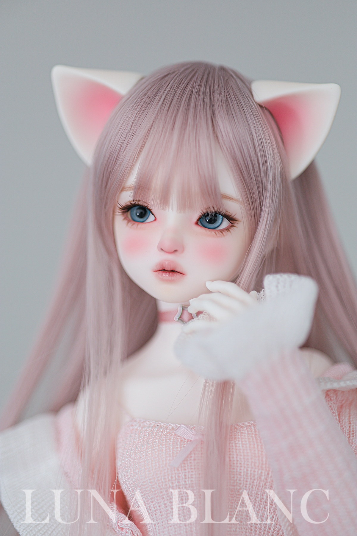 Luna blanc maylily