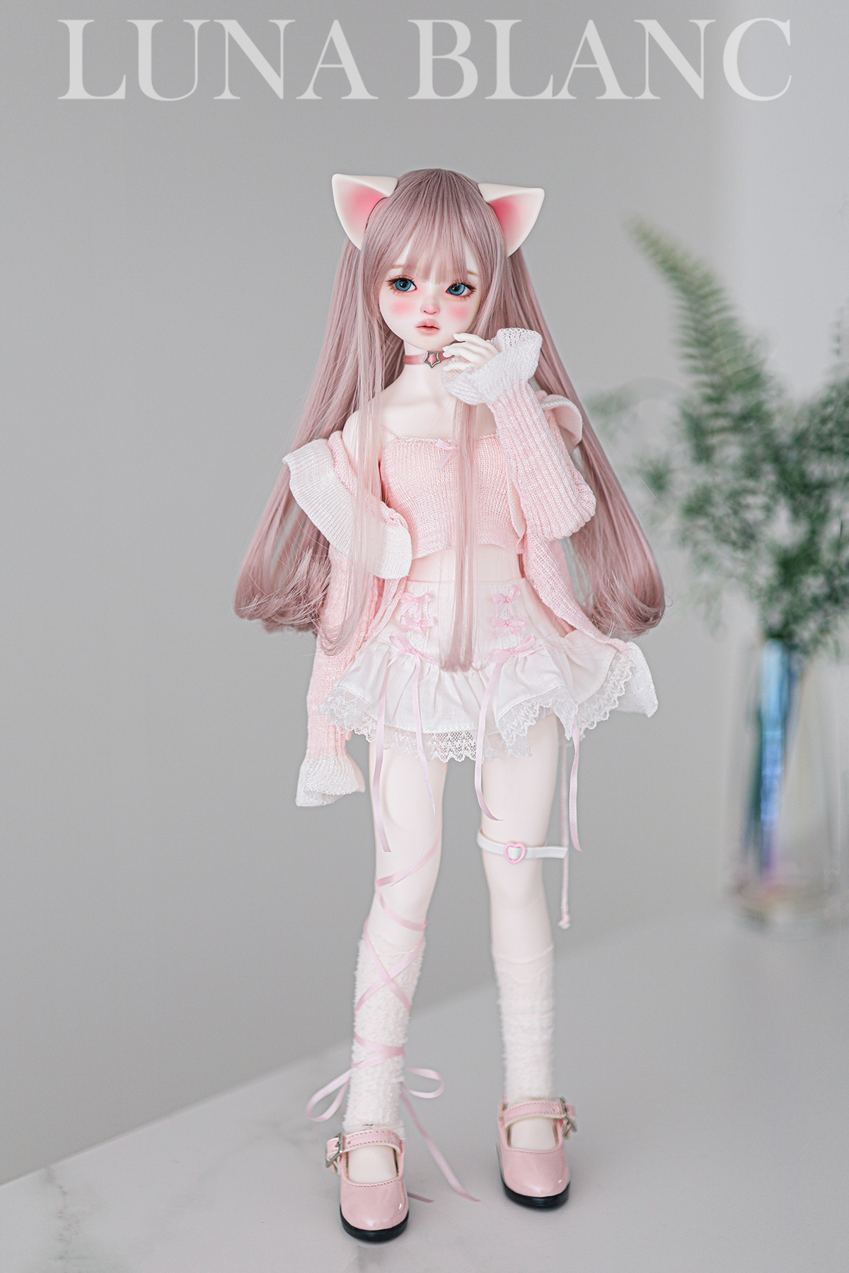 Luna blanc maylily