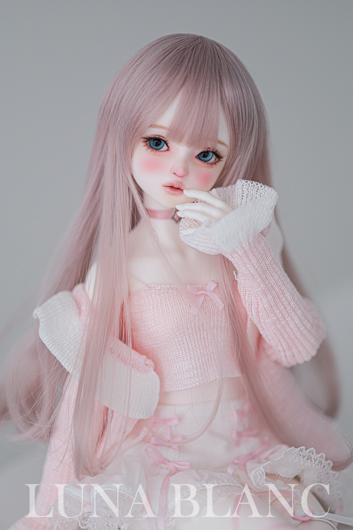 Luna blanc maylily