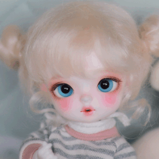 chicabi 16cm po