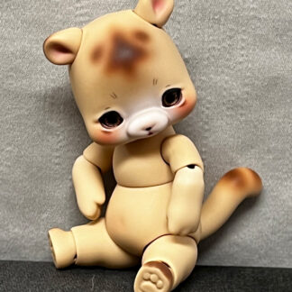 cocoriang hoi bear