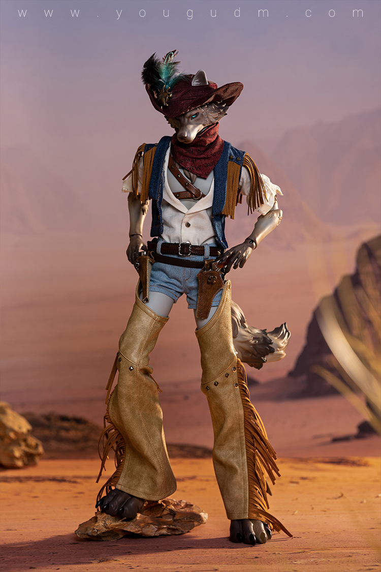 dream valley cowboy robin wolf
